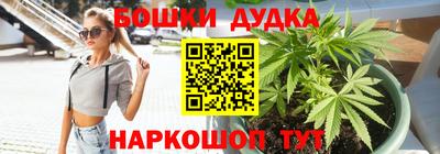 гидропоника Моздок