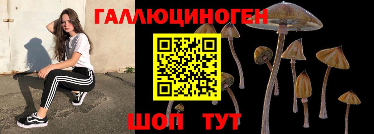 Галлюциногенные грибы Magic Shrooms Тверь